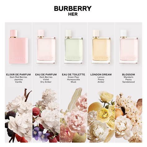 parfum burberry her prix|Burberry original perfume discontinued.